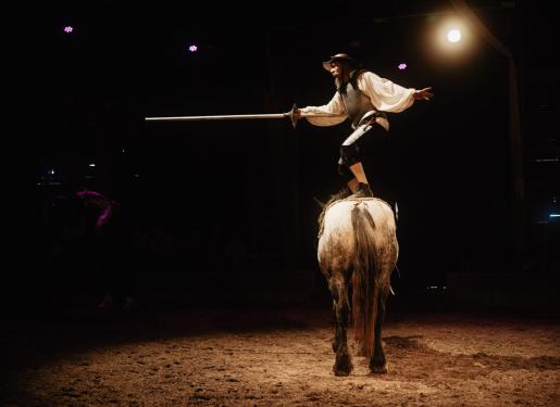 spectacle équestre don quichotte